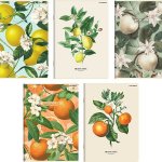 Top 2000 Sešit Summer Harvest Club A5 linkovaný – Zboží Dáma