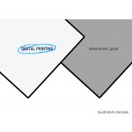 ZenitBond 3 mm Al 0,3 2000 x 4050 mm print / stříbrný 1 ks