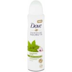 Dove Nourishing Secrets Matcha & Sakura deospray 150 ml – Sleviste.cz