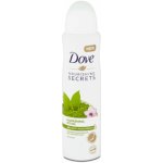 Dove Nourishing Secrets Matcha & Sakura deospray 150 ml – Hledejceny.cz