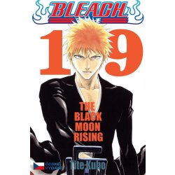 Bleach 19 – Kubo Tite