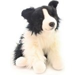 Pes border kolie – Sleviste.cz