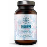 Herbalus Magnesium Pro Spánek 90 tablet – Hledejceny.cz