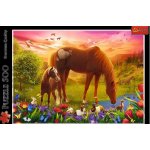 Trefl Koně na louce 500 dílků – Zboží Mobilmania