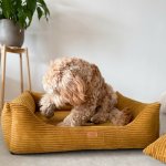 DENZOO Ortopedický pelíšek pro psa – Zbozi.Blesk.cz