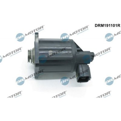 AGR-Ventil Dr.Motor Automotive DRM191101R – Hledejceny.cz