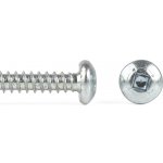 Šroub do plechu ZnB Quadrex TEX, půlkulatá hlava, DIN 7504N - 4.2x50 – Hledejceny.cz