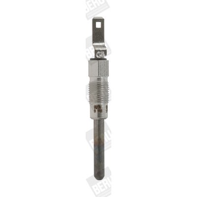 Zhavici svicka BorgWarner (BERU) GV004 – Hledejceny.cz