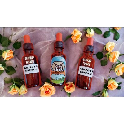 Bachovy esence Krizové kapky květové esence 30 ml – Hledejceny.cz