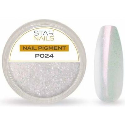 Starnails Nail Art zdobení pigment P024 – Zboží Mobilmania