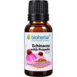 Bioherba Přírodní tinktura třapatka a propolis 20 ml – Hledejceny.cz
