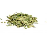 Salvia Paradise Bříza bělokorá list 100 g – Hledejceny.cz