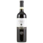 Casetta Barolo Cerviano Merli 2011 14% 0,75 l (holá láhev) – Hledejceny.cz