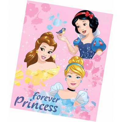 Faro Tekstylia Dětská deka Disney Princess – Sleviste.cz