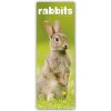 Kalendář Rabbits Kaninchen 2024