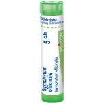 SYMPHYTUM OFFICINALE POR 5CH GRA 4G – Hledejceny.cz