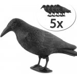 ISO 72171 Odpuzovač holubů a ptáků Havran 5 ks