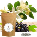 Od Janky Vonné kamínky Černý rybíz s jasmínem 60 g – Zboží Dáma