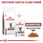 Royal Canin Veterinary Diet Cat Gastrointestinal 4 kg – Zboží Mobilmania