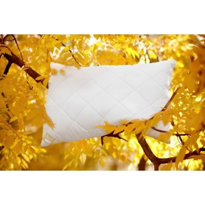 Ložnice21. Polštář Aloe Vera pro hluboký spánek zip+vak 400 g 50x70 – Zbozi.Blesk.cz