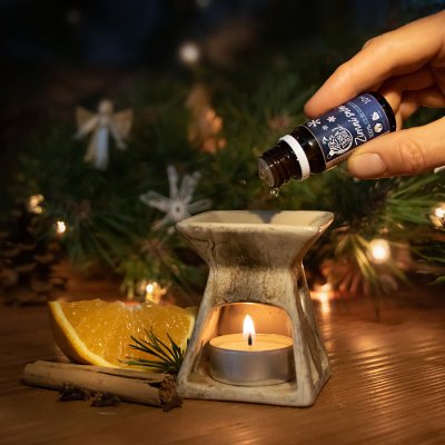 Tierra Verde Zimní snění směs BIO esenciálních olejů 10 ml – Zboží Dáma