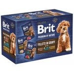 Brit Premium by Nature Adult Dog Fillets in Gravy Multipack 12 x 85 g – Sleviste.cz
