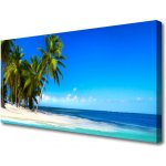 Obraz na plátně Palma Strom Moře Krajina 100x50 cm – Zboží Dáma