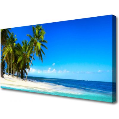 Obraz na plátně Palma Strom Moře Krajina 100x50 cm – Zboží Dáma