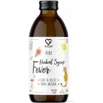 Goodie Dětský bylinný sirup pro zdraví a regeneraci, 200 ml – Hledejceny.cz