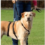 Trixie Postroj Stay – Zboží Dáma