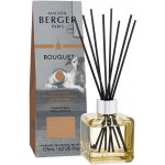 Maison Berger aroma difuzér cube Proti zvířecímu zápachu Ovocno-květinová vůně 125 ml – Hledejceny.cz