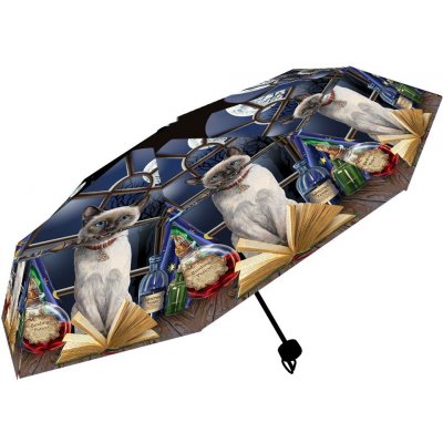 Lisa Parker deštník s kočkou kouzelnicí skládací – Zboží Mobilmania