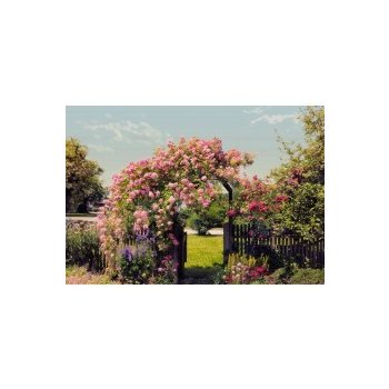 Komar 8-936 Fototapeta Rose Garden Rozměr 368 x 254 cm