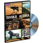 Divoká afrika DVD – Zbozi.Blesk.cz