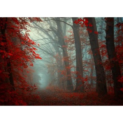 Pohlednice Andělé na naší cestě – Zboží Mobilmania