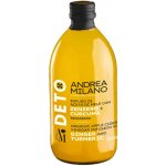 Acetificio Andrea Milano DETOX Bio jablečný ocet se zázvorem a kurkumou 500 ml – Hledejceny.cz