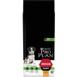 BAFPET Pešek Ringo klínový 15 x 28 – Sleviste.cz