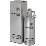 Montale Wood & Spices parfémovaná voda pánská 100 ml – Hledejceny.cz