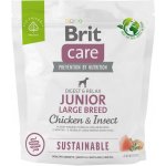 Brit Care Sustainable Junior Large Breed Chicken & Insect 1 kg – Zboží Mobilmania