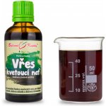 Bylinné kapky Vřes kvetoucí nať tinktura 50 ml – Hledejceny.cz
