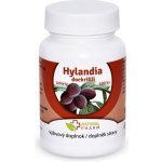 Natural Pharm Hylandia dockrillii Blushwood 100 tablet – Hledejceny.cz