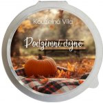 Kouzelná Víla sojový vosk Podzimní dýně 20 g – Zbozi.Blesk.cz