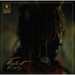 Thundercat It Is What It Is LP – Zboží Mobilmania