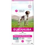 Eukanuba Adult All Perferformance 15 kg – Hledejceny.cz