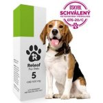 Releaf 5 CBD olej pro psy 10 ml – Hledejceny.cz