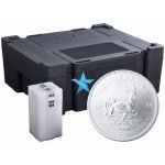 Krugerrand South African Mint stříbrná mince 1 oz – Zboží Dáma