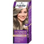 Palette Intensive Color 8-21 světlý popelavý plavý 50 ml – Zboží Mobilmania