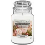 Yankee Candle Candy Cane Forest 538 g – Zboží Dáma