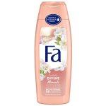Fa Divine Moments sprchový gel 250 ml – Zboží Dáma