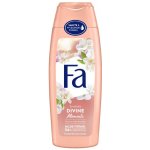 Fa Divine Moments sprchový gel 250 ml – Hledejceny.cz